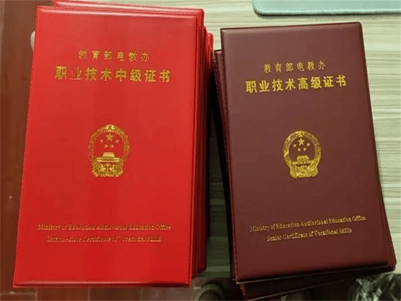 定制证书定制 定制证书定制-红金大气喜庆风
